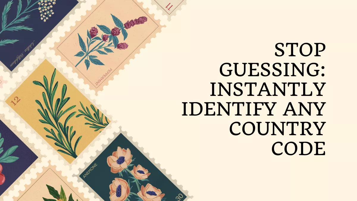 Stop Guessing: Instantly Identify Any Country Code