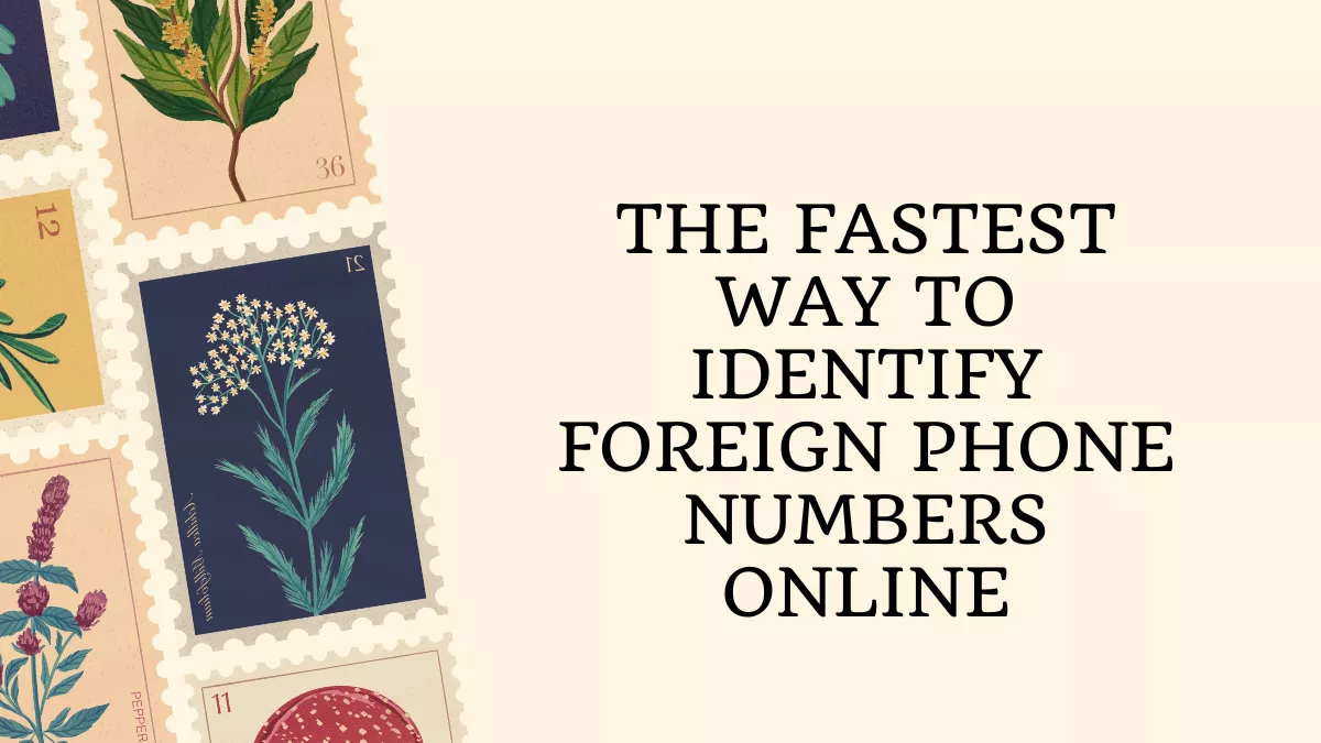 The Fastest Way to Identify Foreign Phone Numbers Online