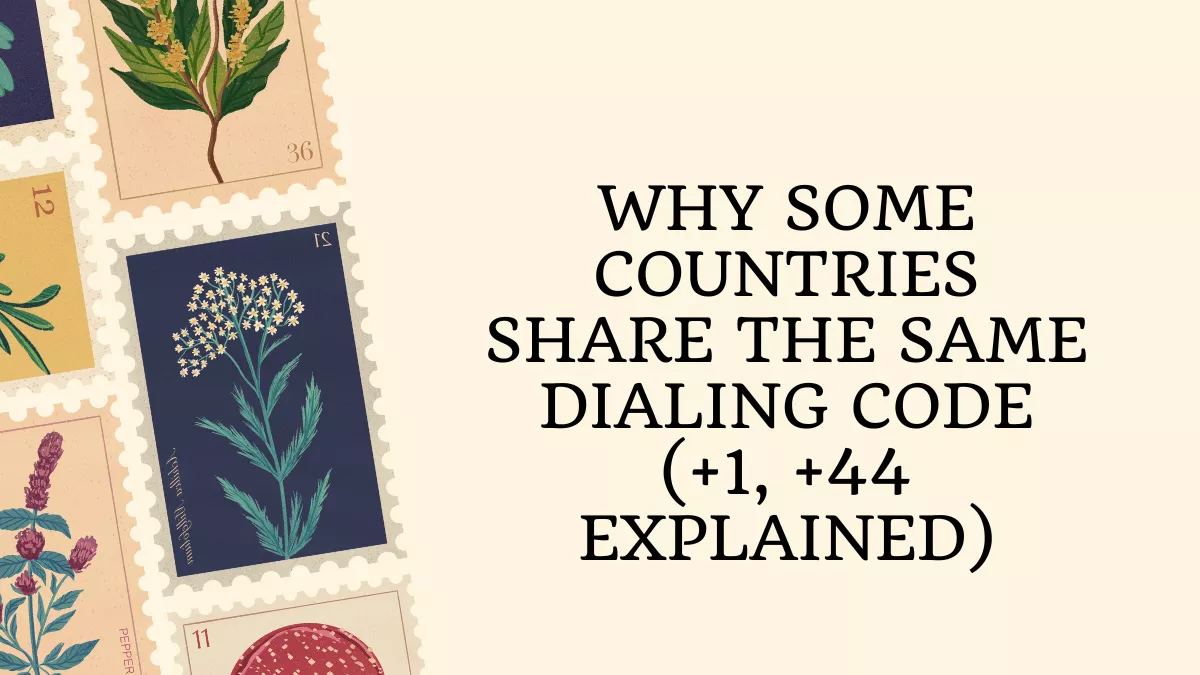 Why Some Countries Share the Same Dialing Code (+1, +44 Explained)